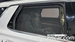 Hyundai Palisade, 2021 — миниатюра 35