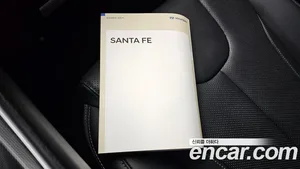 Hyundai Santa Fe, 2022 — миниатюра 27