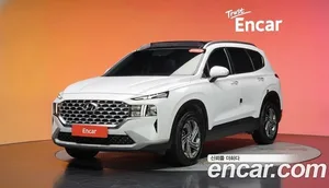 Hyundai Santa Fe, 2020 — миниатюра 32