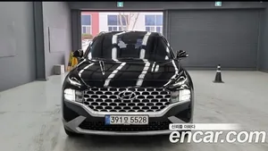 Hyundai Santa Fe, 2020 — миниатюра 3