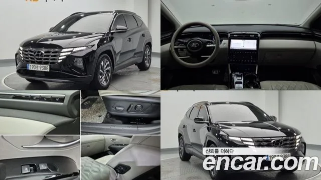 Hyundai Tucson, 2022 — фото автомобиля из Кореи