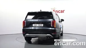 Hyundai Palisade, 2019 — миниатюра 4