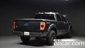 Ford F150, 2021 — миниатюра 2