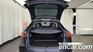 Tesla Model Y, 2025 — миниатюра 20