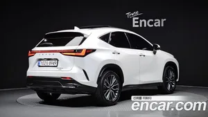 Lexus NX, 2024 — миниатюра 2