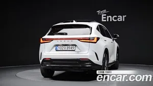 Lexus NX, 2024 — миниатюра 4