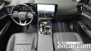 Lexus NX, 2024 — миниатюра 10