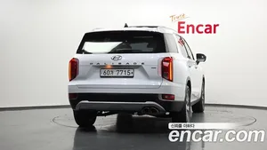 Hyundai Palisade, 2019 — миниатюра 4
