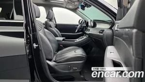 Hyundai Palisade, 2019 — миниатюра 15