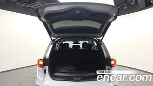 Renault QM6, 2019 — миниатюра 31