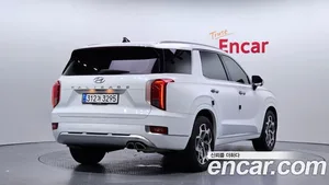 Hyundai Palisade, 2020 — миниатюра 2