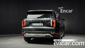 Hyundai Palisade, 2019 — миниатюра 4
