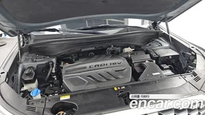 Hyundai Palisade, 2019 — миниатюра 6