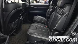 Hyundai Palisade, 2019 — миниатюра 16