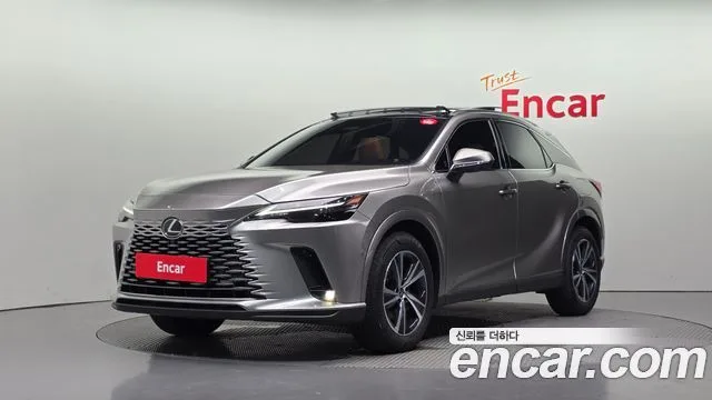 Lexus RX, 2025 — фото автомобиля из Кореи