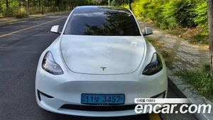 Tesla Model Y, 2022 — миниатюра 1