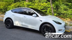 Tesla Model Y, 2022 — миниатюра 4