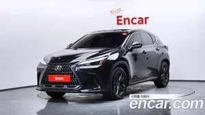 Lexus NX, 2025 — миниатюра 1
