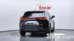 Lexus NX, 2025 — миниатюра 4