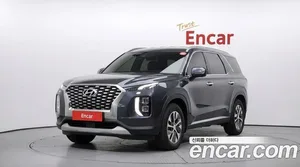 Hyundai Palisade, 2019 — миниатюра 1