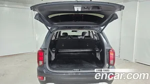 Hyundai Palisade, 2019 — миниатюра 20