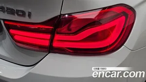 BMW 4-Series, 2018 — миниатюра 9