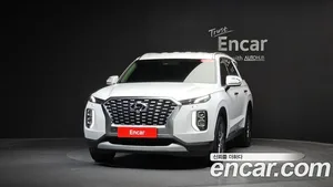 Hyundai Palisade, 2020 — миниатюра 2