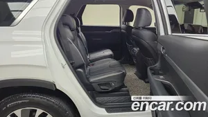 Hyundai Palisade, 2020 — миниатюра 16