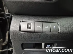 Hyundai Santa Fe, 2020 — миниатюра 17