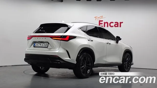 Lexus NX, 2025 — фото автомобиля из Кореи