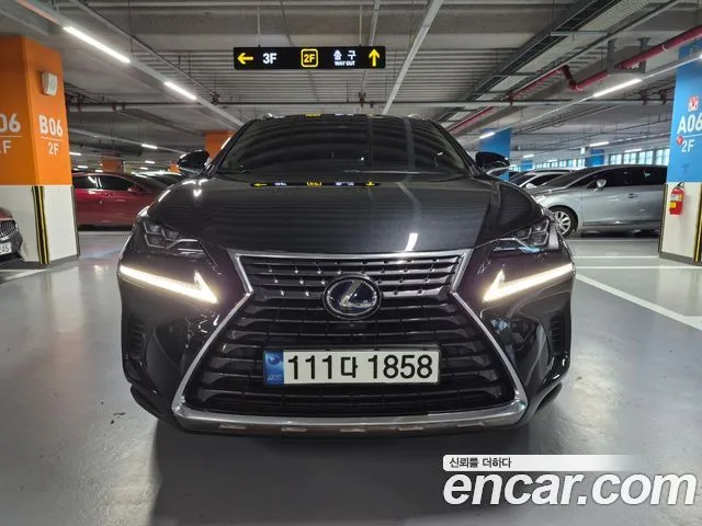 Lexus NX, 2021 — фото автомобиля из Кореи