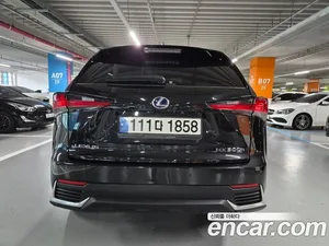 Lexus NX, 2021 — миниатюра 3