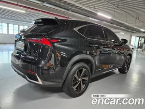 Lexus NX, 2021 — миниатюра 4