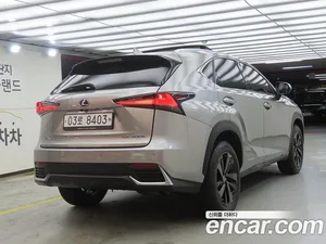 Lexus NX, 2018 — миниатюра 4