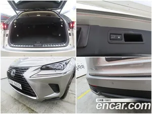 Lexus NX, 2018 — миниатюра 18