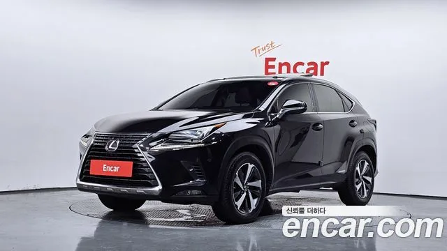 Lexus NX, 2017 — фото автомобиля из Кореи