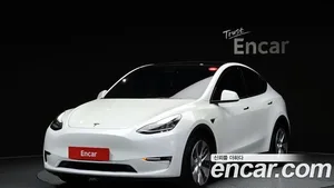 Tesla Model Y, 2021 — миниатюра 1