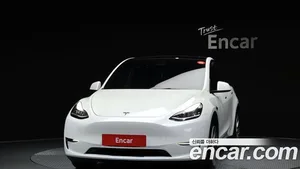 Tesla Model Y, 2021 — миниатюра 3