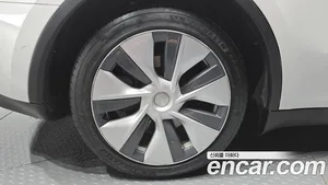 Tesla Model Y, 2021 — миниатюра 5