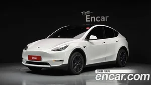 Tesla Model Y, 2021 — миниатюра 1
