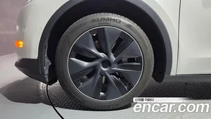 Tesla Model Y, 2021 — миниатюра 5