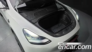 Tesla Model Y, 2021 — миниатюра 6