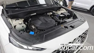 Hyundai Santa Fe, 2020 — миниатюра 6