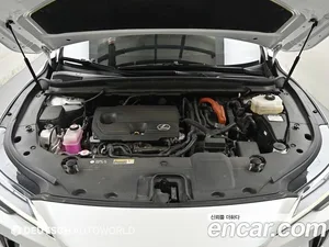 Lexus RX, 2024 — миниатюра 6