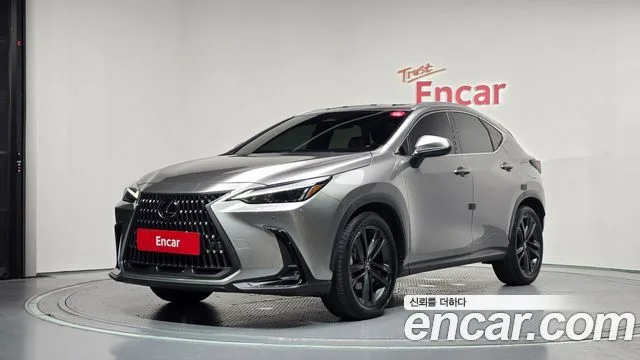 Lexus NX, 2023 — фото автомобиля из Кореи
