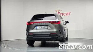 Lexus NX, 2023 — миниатюра 4