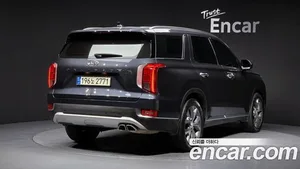 Hyundai Palisade, 2019 — миниатюра 2