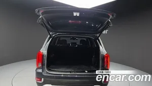 Hyundai Palisade, 2019 — миниатюра 26