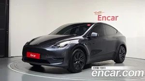 Tesla Model Y, 2025 — миниатюра 1