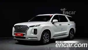 Hyundai Palisade, 2020 — миниатюра 1